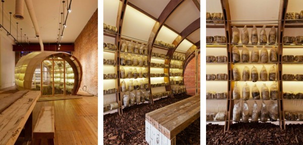 Mushroom farm interior