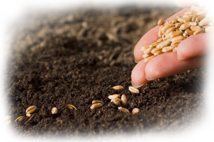 PlantingSeeds.png
