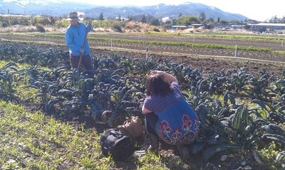 IMAG0382_1.jpg