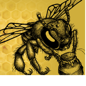 <em>2018 Grant Partner</em> - Beehive Collective