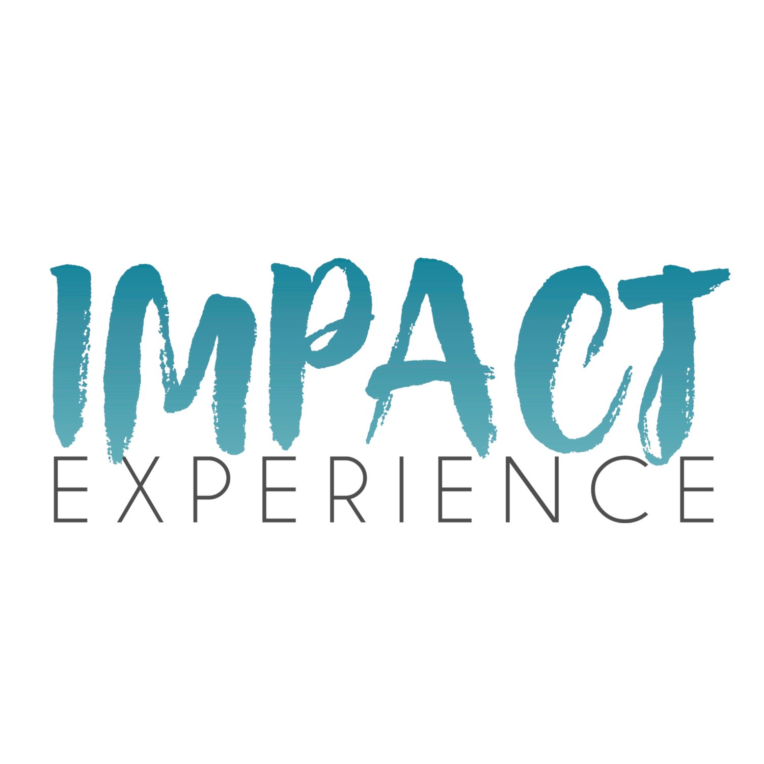 <em>2019 Grant Partner - </em>Impact Experience